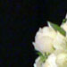 Wedding Bouquet in 2005